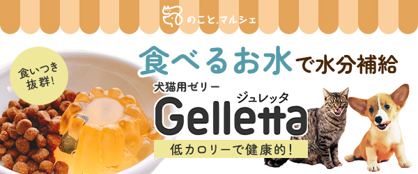 食べるお水で水分補給。犬猫用ゼリーGelletta